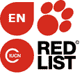 IUCN Red List - Lioscincus steindachneri - Endangered, EN