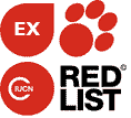 IUCN Red List - Celestus occiduus - Extinct, EX