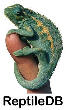 Atheris ceratophora  The Reptile Database